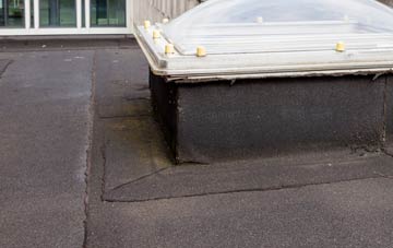 disadvantages of Pant Pastynog flat roofs