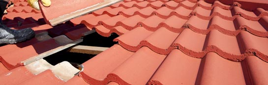 compare Pant Pastynog roof repair quotes
